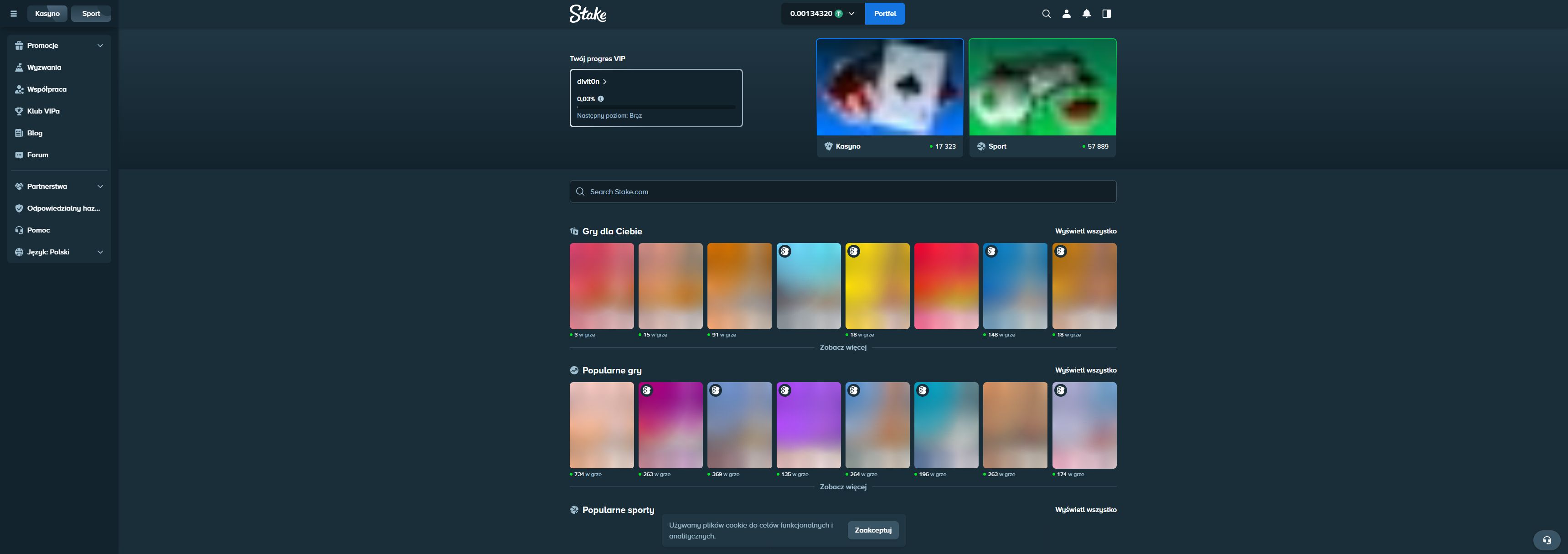 Stake casino homepage screenshot showing the main game lobby and top navigation (stake casino review)
